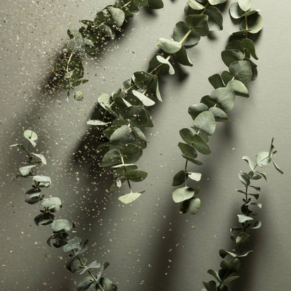 Fresh eucalyptus branches with soft botanical shadows inspired by the clean, calming scent notes of Noshinku Eucalyptus hand sanitizer. Exclusively at Area Boutique.