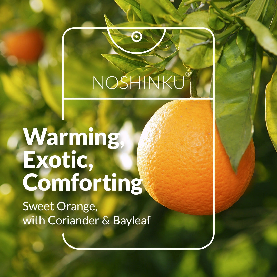 Orange tree with sweet orange, coriander, and bay leaf scent inspiration for Noshinku Orange Coriander hand sanitizer spray. Exclusively at Area Boutique.