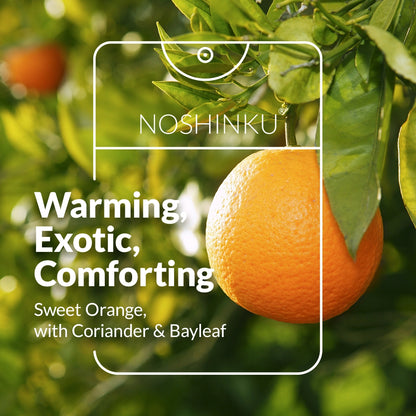Orange tree with sweet orange, coriander, and bay leaf scent inspiration for Noshinku Orange Coriander hand sanitizer spray. Exclusively at Area Boutique.